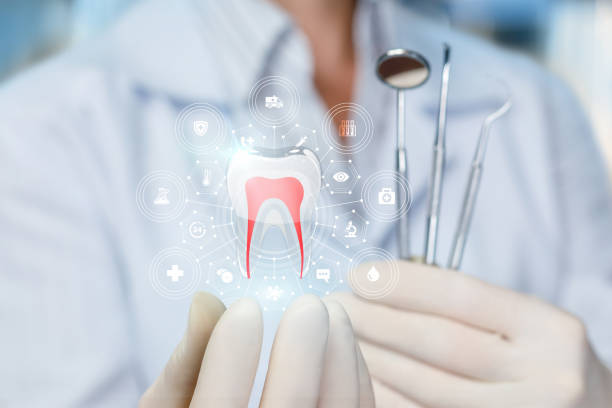 Professional Dental Services in Harriman, NY